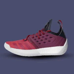 zapatillas de basquet